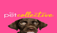 The Pet Collective